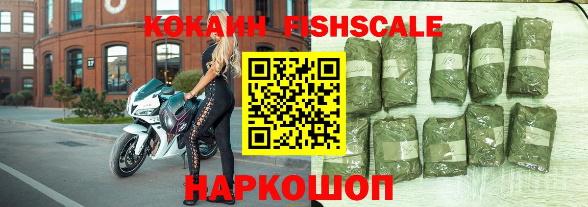 продажа наркотиков  COCAIN Перу  КОКАИН FishScale  Вход с VPN  Заречный 