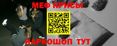 молекула духа Кингисепп