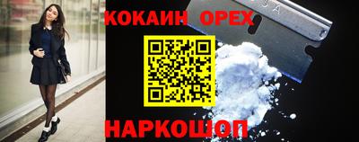 молекула духа Кингисепп