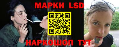 молекула духа Кингисепп