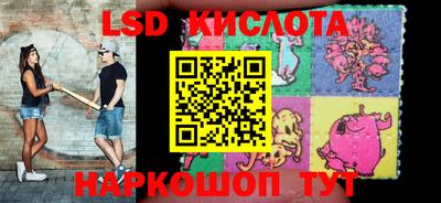 молекула духа Кингисепп