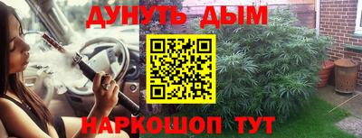 молекула духа Кингисепп