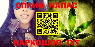 молекула духа Кингисепп