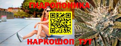 молекула духа Кингисепп