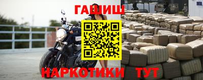 молекула духа Кингисепп