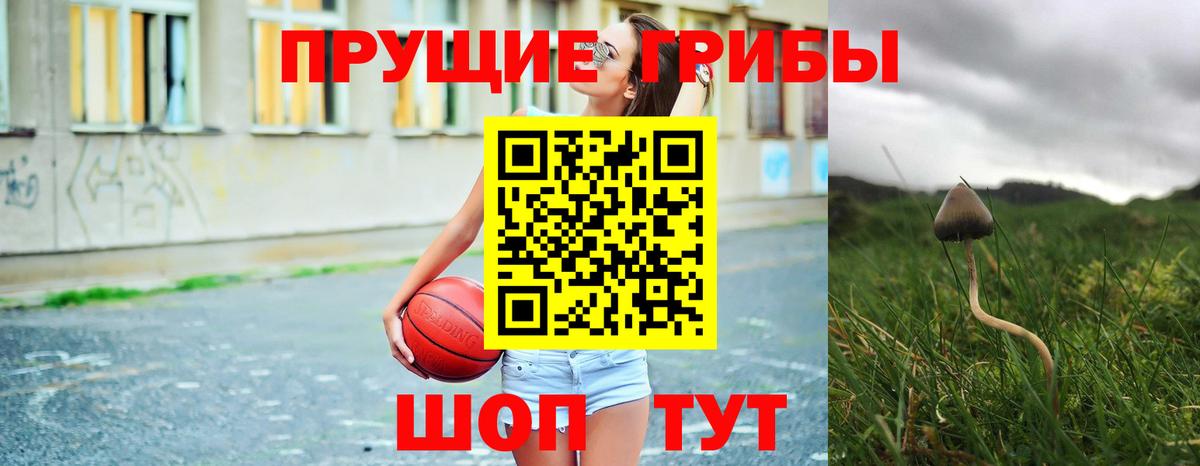 Заречный  Псилоцибиновые грибы Psilocybe  Вход с VPN 